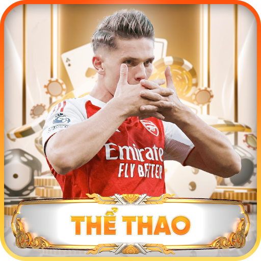 banner thể thao vz88