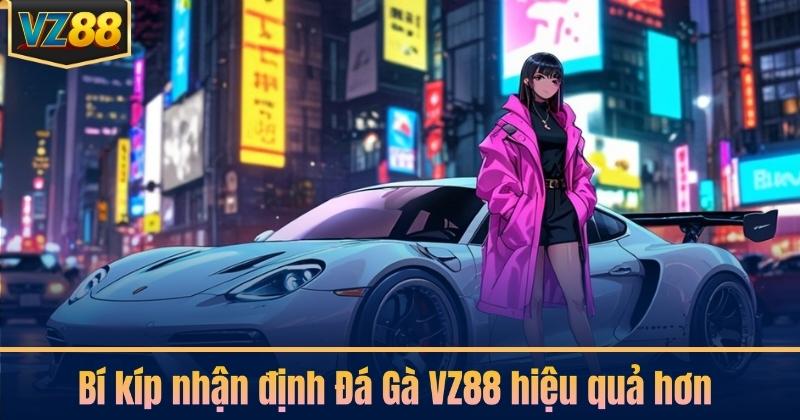 Bí kíp nhận định Đá Gà VZ88 hiệu quả hơn