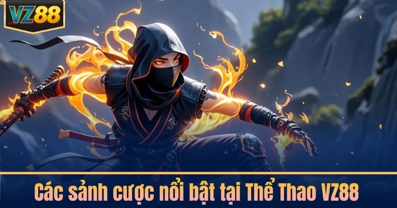 Các sảnh cược nổi bật tại Thể Thao VZ88