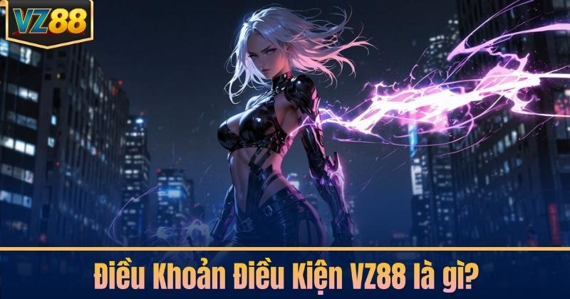 Điều Khoản Điều Kiện VZ88 là gì?