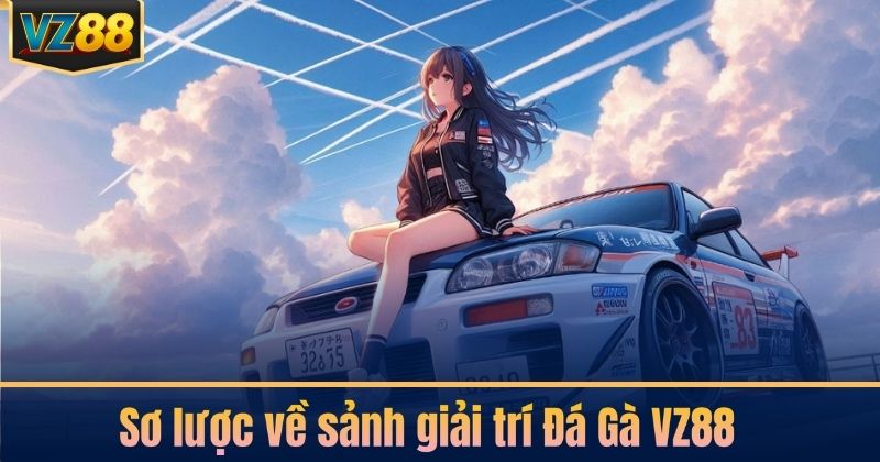 Sơ lược về sảnh giải trí Đá Gà VZ88