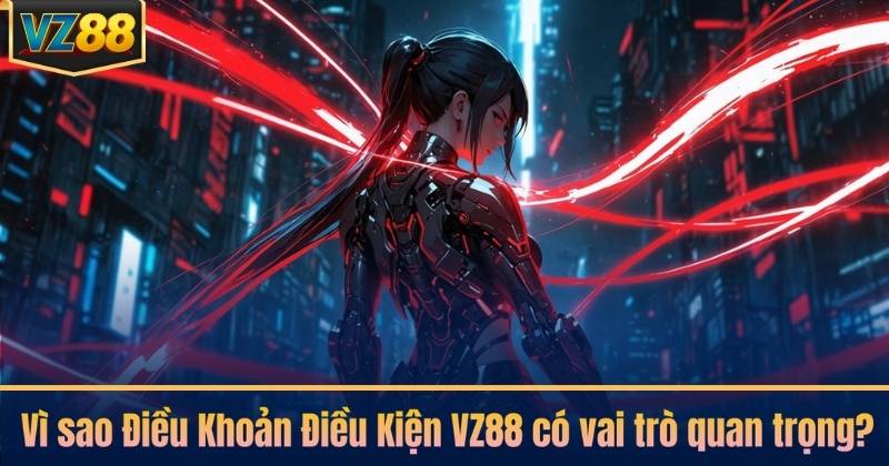 Vì sao Điều Khoản Điều Kiện VZ88 có vai trò quan trọng?